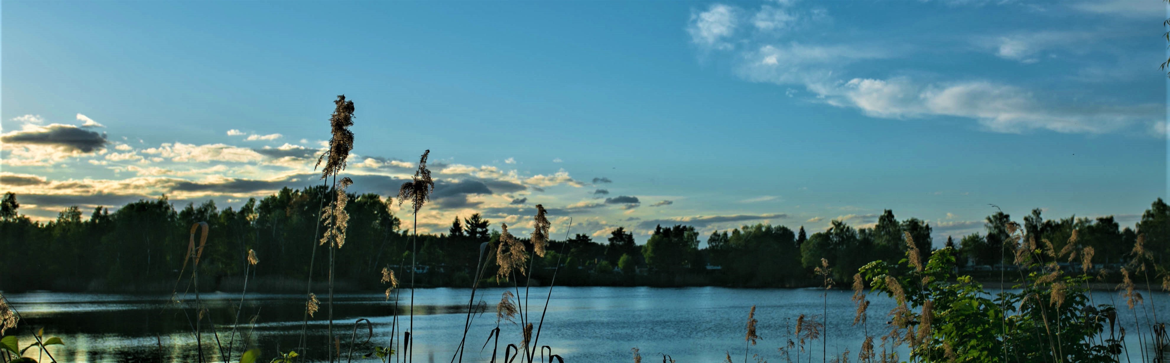 Sonnenuntergang am Seeblick